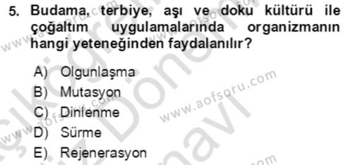 Bahçe Tarımı 1 Dersi 2021 - 2022 Yılı (Final) Dönem Sonu Sınavı 5. Soru