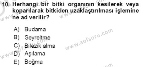 Bahçe Tarımı 1 Dersi 2021 - 2022 Yılı Yaz Okulu Sınavı 10. Soru