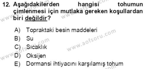 Bahçe Tarımı 1 Dersi 2021 - 2022 Yılı Yaz Okulu Sınavı 12. Soru