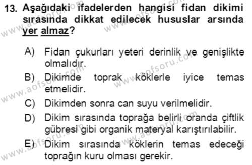 Bahçe Tarımı 1 Dersi 2021 - 2022 Yılı Yaz Okulu Sınavı 13. Soru