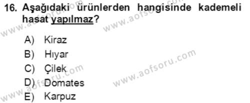 Bahçe Tarımı 1 Dersi 2021 - 2022 Yılı Yaz Okulu Sınavı 16. Soru