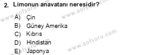 Bahçe Tarımı 1 Dersi 2021 - 2022 Yılı Yaz Okulu Sınavı 2. Soru