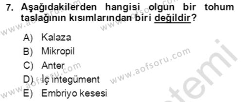 Bahçe Tarımı 1 Dersi 2021 - 2022 Yılı Yaz Okulu Sınavı 7. Soru