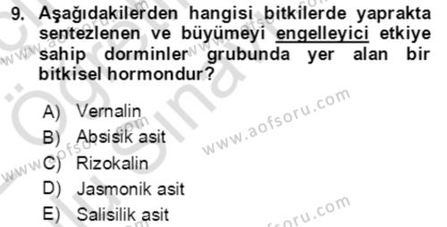 Bahçe Tarımı 1 Dersi 2021 - 2022 Yılı Yaz Okulu Sınavı 9. Soru