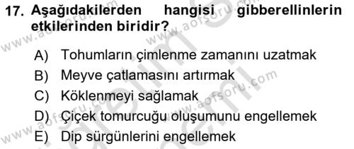 Bahçe Tarımı 1 Dersi 2022 - 2023 Yılı (Final) Dönem Sonu Sınavı 17. Soru