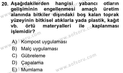 Bahçe Tarımı 1 Dersi 2022 - 2023 Yılı (Final) Dönem Sonu Sınavı 20. Soru