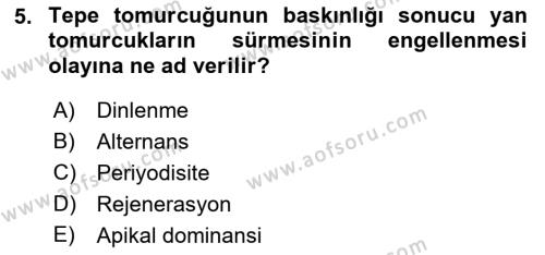 Bahçe Tarımı 1 Dersi 2022 - 2023 Yılı (Final) Dönem Sonu Sınavı 5. Soru