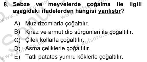 Bahçe Tarımı 1 Dersi 2022 - 2023 Yılı (Final) Dönem Sonu Sınavı 8. Soru