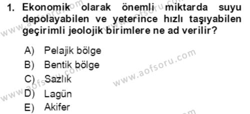 Ekoloji ve Çevre Bilgisi Dersi 2020 - 2021 Yılı Yaz Okulu Sınavı 1. Soru