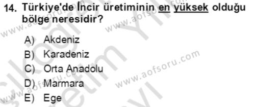 Ekoloji ve Çevre Bilgisi Dersi 2020 - 2021 Yılı Yaz Okulu Sınavı 14. Soru