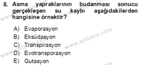 Ekoloji ve Çevre Bilgisi Dersi 2020 - 2021 Yılı Yaz Okulu Sınavı 8. Soru