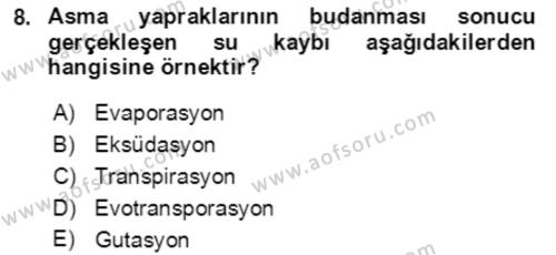 Ekoloji ve Çevre Bilgisi Dersi 2021 - 2022 Yılı Yaz Okulu Sınavı 8. Soru