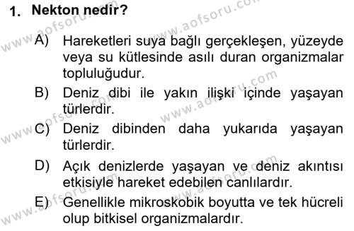 Ekoloji ve Çevre Bilgisi Dersi 2022 - 2023 Yılı Yaz Okulu Sınavı 1. Soru