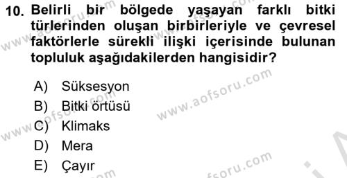 Ekoloji ve Çevre Bilgisi Dersi 2022 - 2023 Yılı Yaz Okulu Sınavı 10. Soru