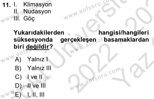 Ekoloji ve Çevre Bilgisi Dersi 2022 - 2023 Yılı Yaz Okulu Sınavı 11. Soru