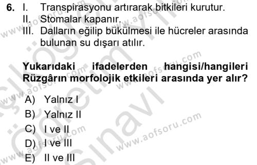 Ekoloji ve Çevre Bilgisi Dersi 2022 - 2023 Yılı Yaz Okulu Sınavı 6. Soru