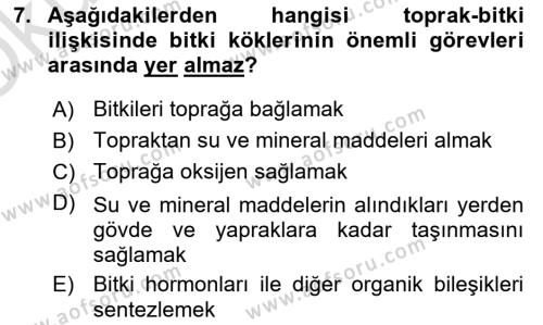 Ekoloji ve Çevre Bilgisi Dersi 2022 - 2023 Yılı Yaz Okulu Sınavı 7. Soru