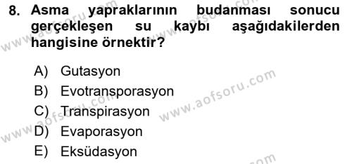 Ekoloji ve Çevre Bilgisi Dersi 2022 - 2023 Yılı Yaz Okulu Sınavı 8. Soru