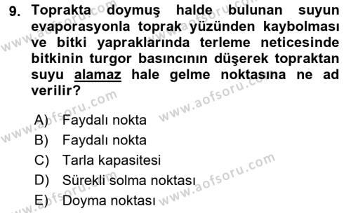 Ekoloji ve Çevre Bilgisi Dersi 2022 - 2023 Yılı Yaz Okulu Sınavı 9. Soru