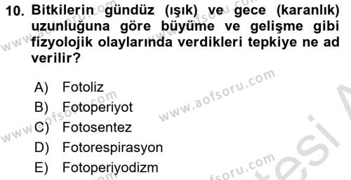 Ekoloji ve Çevre Bilgisi Dersi 2023 - 2024 Yılı (Vize) Ara Sınavı 10. Soru