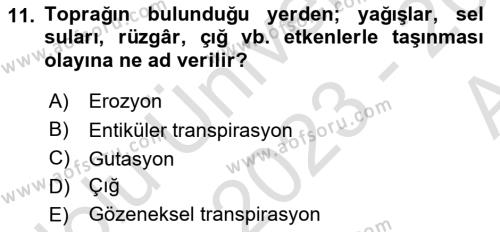 Ekoloji ve Çevre Bilgisi Dersi 2023 - 2024 Yılı (Vize) Ara Sınavı 11. Soru