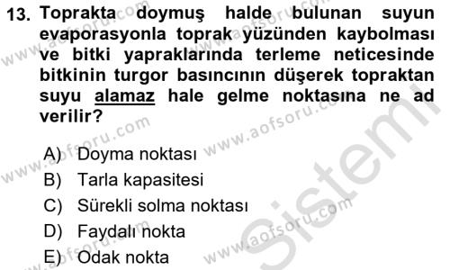 Ekoloji ve Çevre Bilgisi Dersi 2023 - 2024 Yılı (Vize) Ara Sınavı 13. Soru