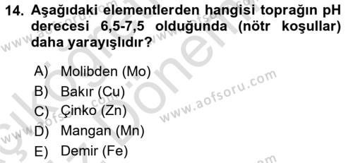 Ekoloji ve Çevre Bilgisi Dersi 2023 - 2024 Yılı (Vize) Ara Sınavı 14. Soru