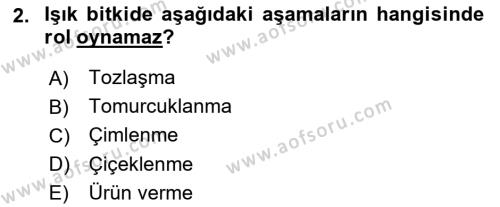 Ekoloji ve Çevre Bilgisi Dersi 2023 - 2024 Yılı (Final) Dönem Sonu Sınavı 2. Soru