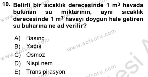 Ekoloji ve Çevre Bilgisi Dersi 2024 - 2025 Yılı (Vize) Ara Sınavı 10. Soru