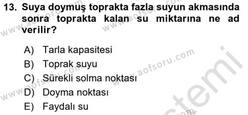 Ekoloji ve Çevre Bilgisi Dersi 2024 - 2025 Yılı (Vize) Ara Sınavı 13. Soru