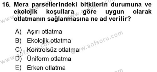 Ekoloji ve Çevre Bilgisi Dersi 2024 - 2025 Yılı (Vize) Ara Sınavı 16. Soru