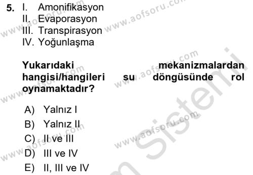 Ekoloji ve Çevre Bilgisi Dersi 2024 - 2025 Yılı (Vize) Ara Sınavı 5. Soru