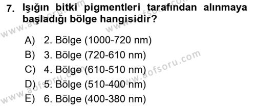 Ekoloji ve Çevre Bilgisi Dersi 2024 - 2025 Yılı (Vize) Ara Sınavı 7. Soru