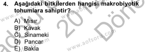 Tarla Bitkileri 1 Dersi 2012 - 2013 Yılı (Final) Dönem Sonu Sınavı 4. Soru