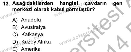 Tarla Bitkileri 1 Dersi 2013 - 2014 Yılı (Vize) Ara Sınavı 13. Soru