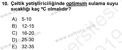 Tarla Bitkileri 1 Dersi 2018 - 2019 Yılı (Final) Dönem Sonu Sınavı 10. Soru