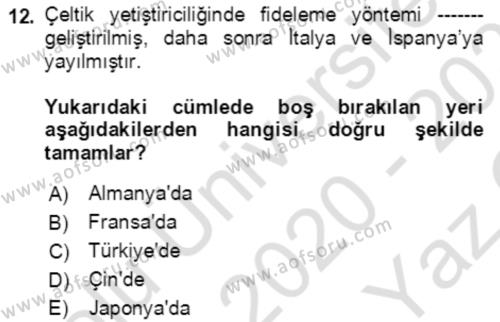 Tarla Bitkileri 1 Dersi 2020 - 2021 Yılı Yaz Okulu Sınavı 12. Soru