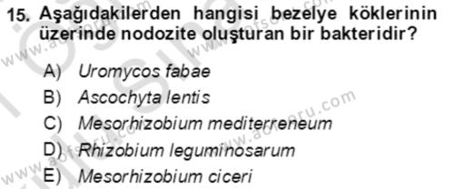 Tarla Bitkileri 1 Dersi 2020 - 2021 Yılı Yaz Okulu Sınavı 15. Soru