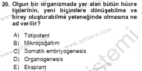 Tarla Bitkileri 1 Dersi 2020 - 2021 Yılı Yaz Okulu Sınavı 20. Soru