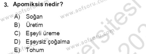 Tarla Bitkileri 1 Dersi 2020 - 2021 Yılı Yaz Okulu Sınavı 3. Soru