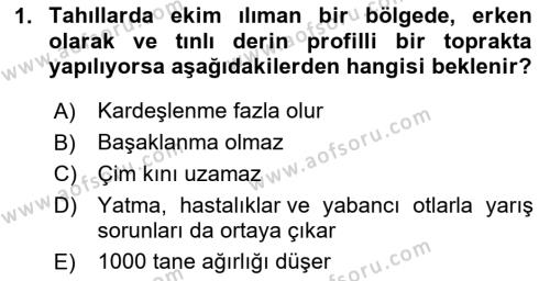 Tarla Bitkileri 1 Dersi 2023 - 2024 Yılı Yaz Okulu Sınavı 1. Soru