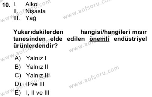 Tarla Bitkileri 1 Dersi 2023 - 2024 Yılı Yaz Okulu Sınavı 10. Soru