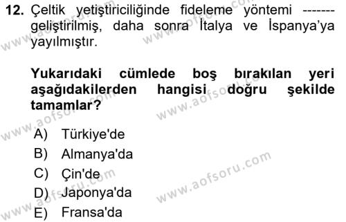 Tarla Bitkileri 1 Dersi 2023 - 2024 Yılı Yaz Okulu Sınavı 12. Soru