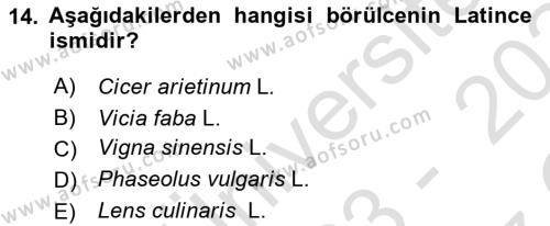 Tarla Bitkileri 1 Dersi 2023 - 2024 Yılı Yaz Okulu Sınavı 14. Soru