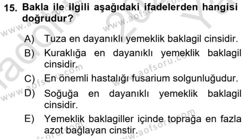 Tarla Bitkileri 1 Dersi 2023 - 2024 Yılı Yaz Okulu Sınavı 15. Soru