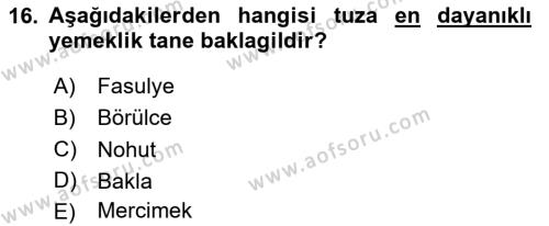 Tarla Bitkileri 1 Dersi 2023 - 2024 Yılı Yaz Okulu Sınavı 16. Soru