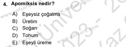 Tarla Bitkileri 1 Dersi 2023 - 2024 Yılı Yaz Okulu Sınavı 4. Soru