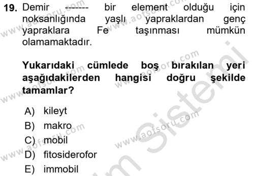 Toprak Bilgisi ve Bitki Besleme Dersi 2021 - 2022 Yılı (Final) Dönem Sonu Sınavı 19. Soru