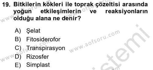 Toprak Bilgisi ve Bitki Besleme Dersi 2021 - 2022 Yılı Yaz Okulu Sınavı 19. Soru