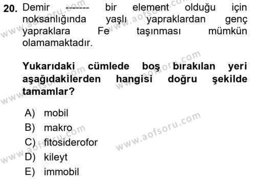 Toprak Bilgisi ve Bitki Besleme Dersi 2021 - 2022 Yılı Yaz Okulu Sınavı 20. Soru